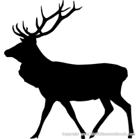 Picture of Elk (Bull) 13 (Elk Silhouette: Hunting Decals)